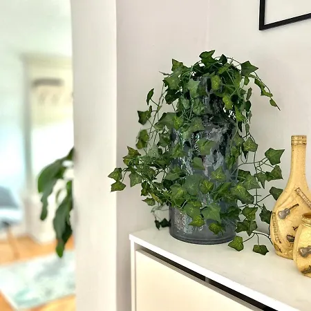 Travellers * Kolozsvár