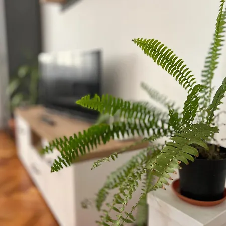 Travellers Клуж-Напока