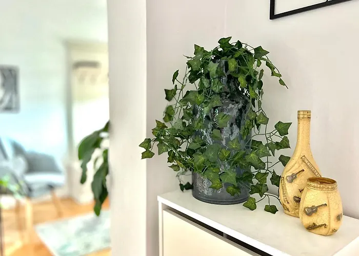 Travellers * Cluj-Napoca