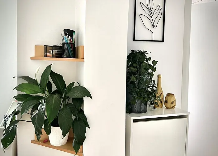 Apartament Travellers Cluj-Napoca