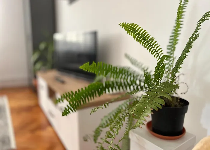 Travellers Cluj-Napoca